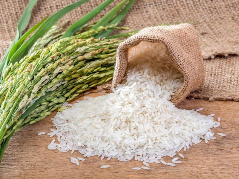 خرید برنج ارزان اینترنتی | برنج ایرانی درجه یک شمال